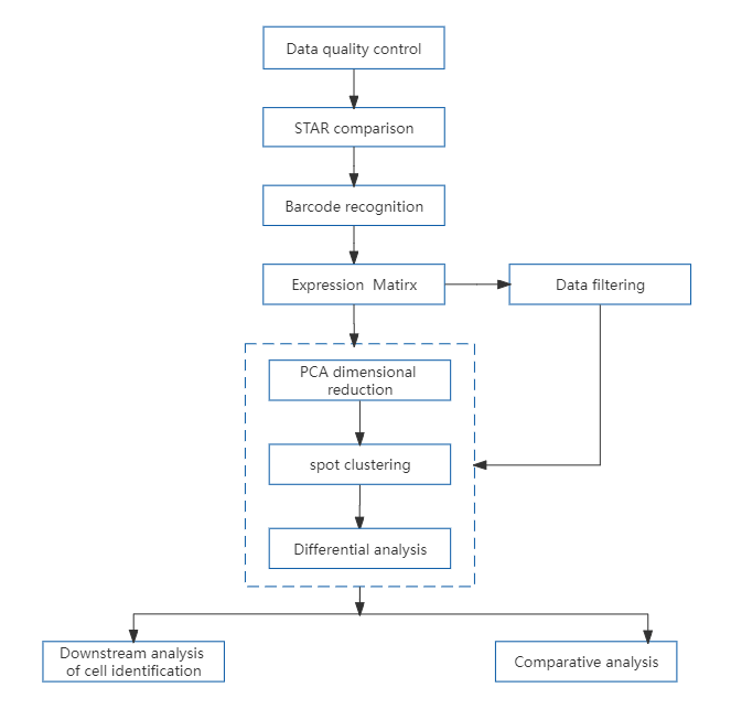 10、Single-cell sequencing - 10x Genomics Visium spatial transcriptome sequencing.png